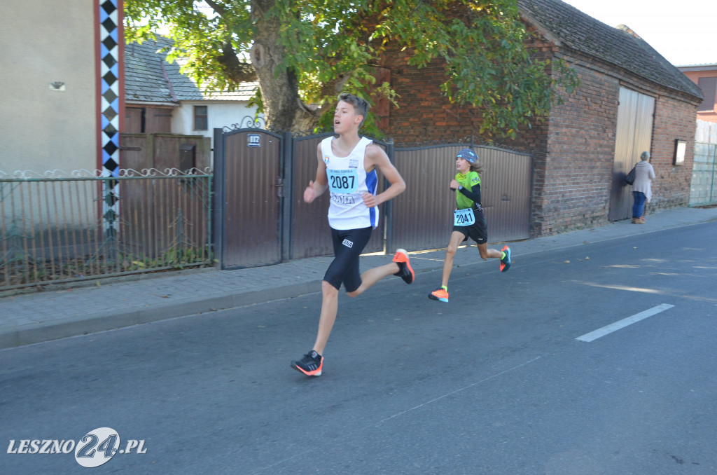 35. Bieg Sokoła