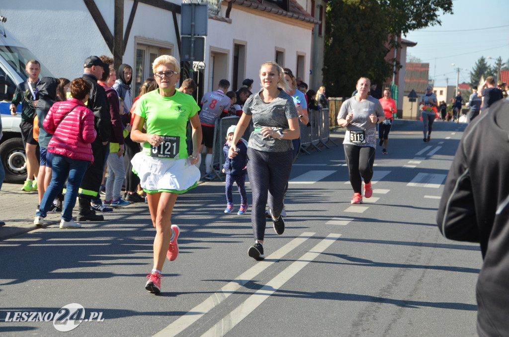 35. Bieg Sokoła