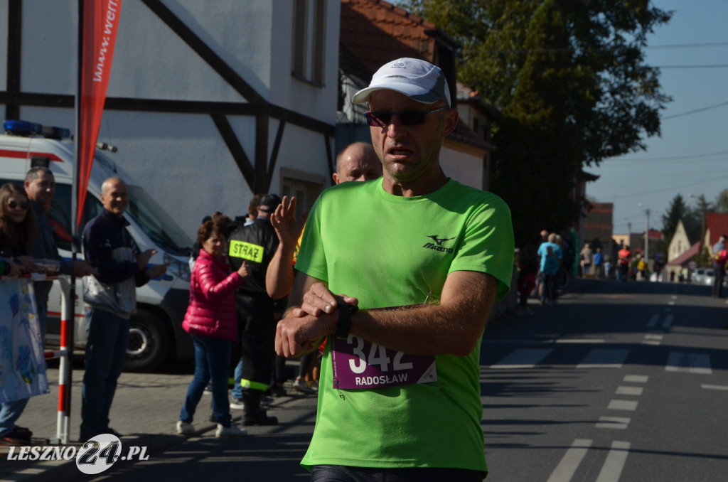 35. Bieg Sokoła