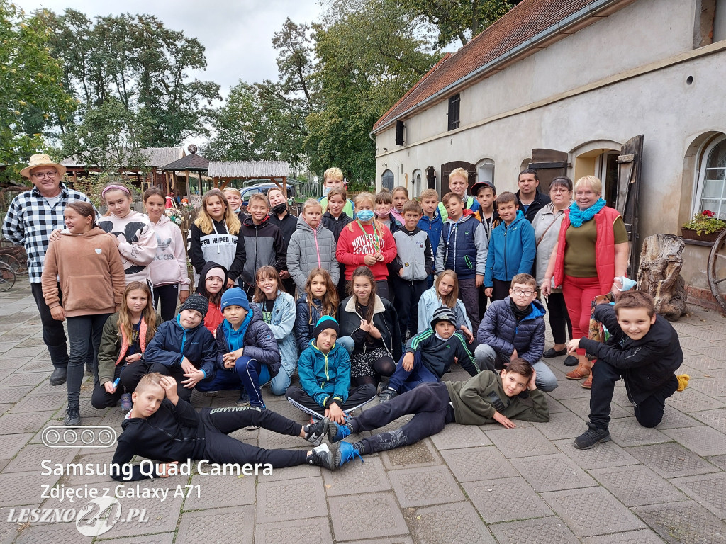 Wykopki w Wilkowicach