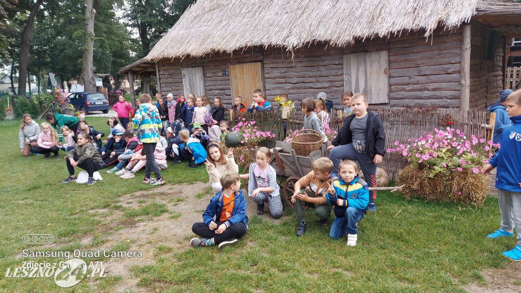 Wykopki w Wilkowicach