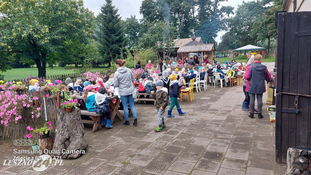 Wykopki w Wilkowicach