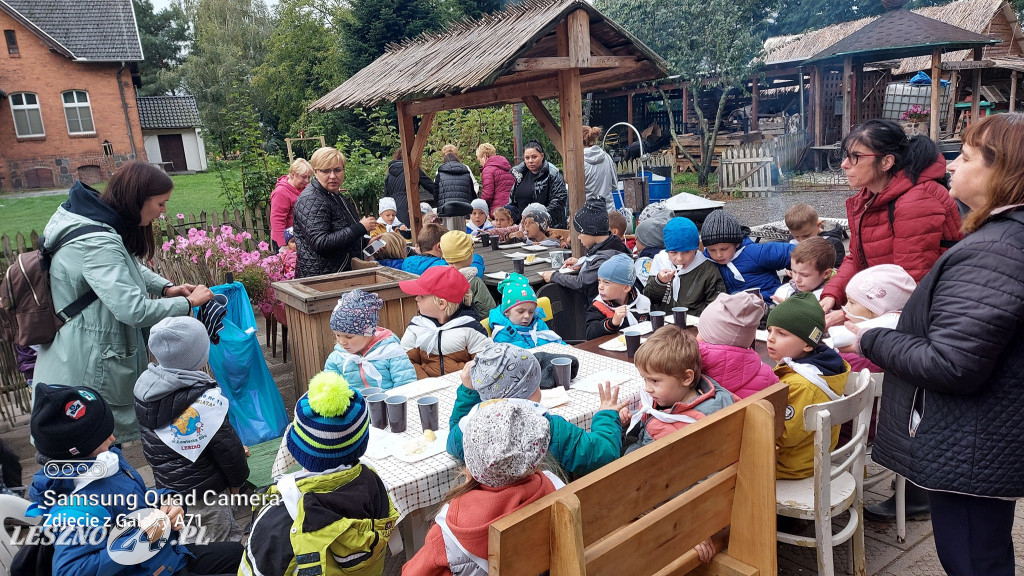 Wykopki w Wilkowicach