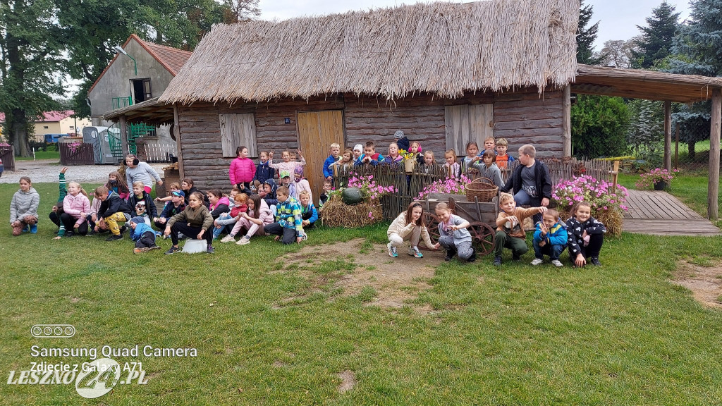 Wykopki w Wilkowicach