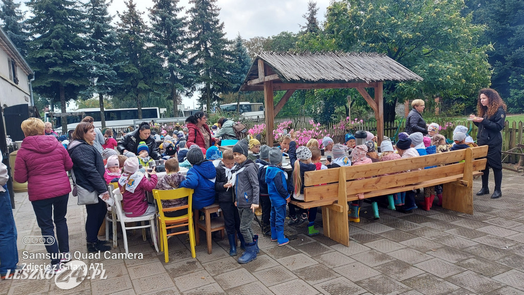 Wykopki w Wilkowicach