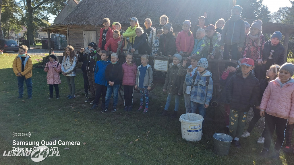 Wykopki w Wilkowicach