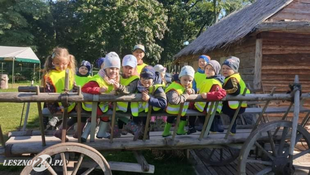 Wykopki w Wilkowicach