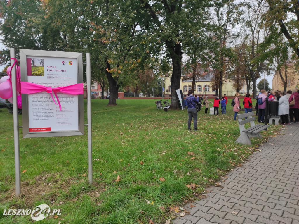 Kolejne żonkile na Polu Nadziei