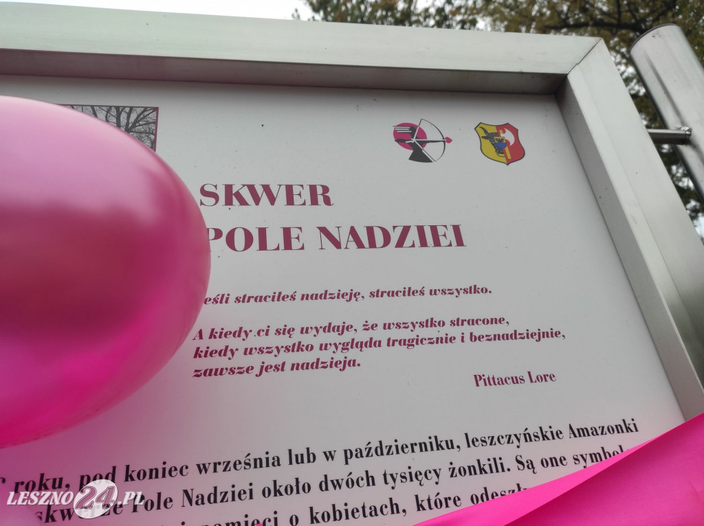 Kolejne żonkile na Polu Nadziei