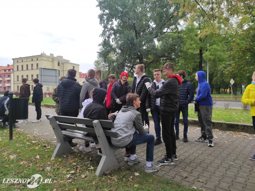 Kolejne żonkile na Polu Nadziei