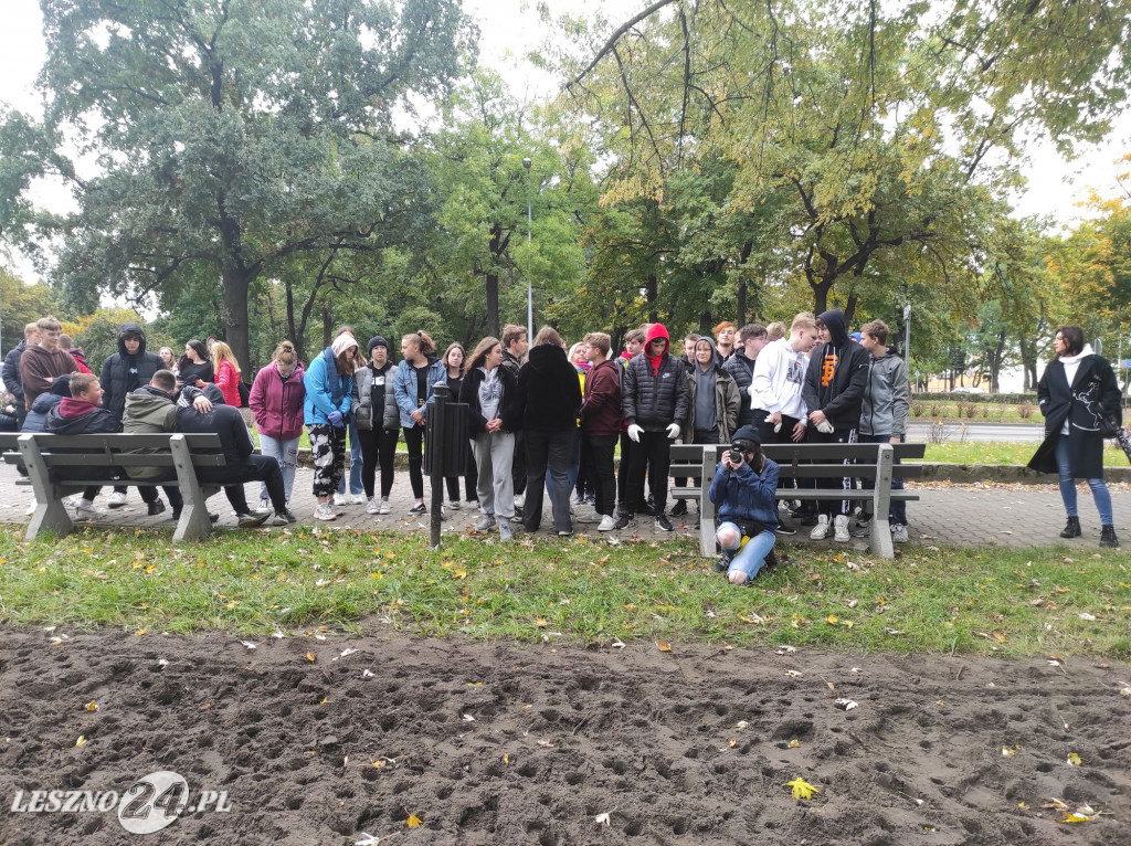 Kolejne żonkile na Polu Nadziei