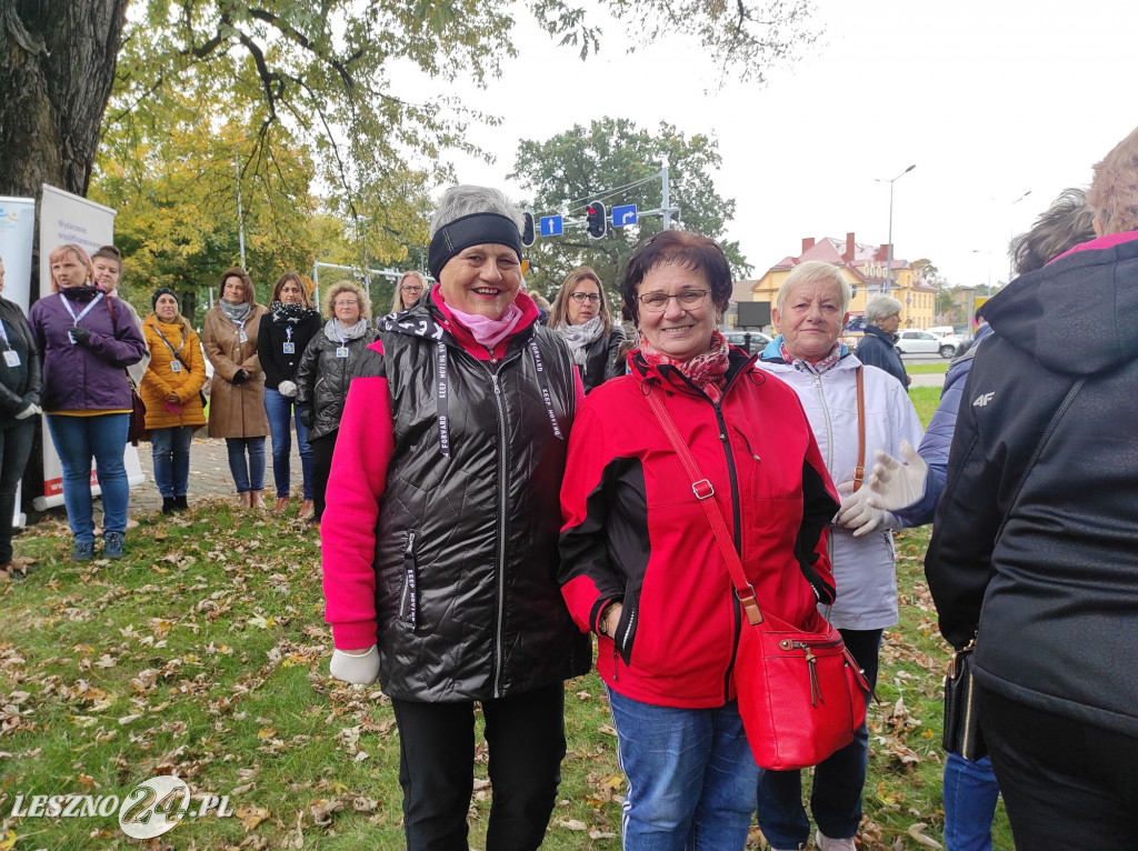 Kolejne żonkile na Polu Nadziei