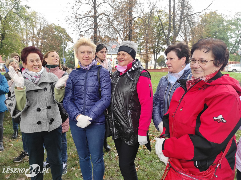 Kolejne żonkile na Polu Nadziei