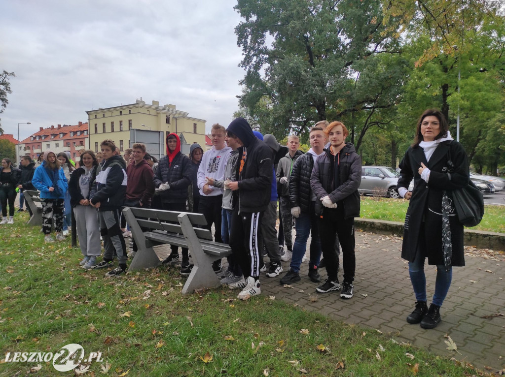 Kolejne żonkile na Polu Nadziei