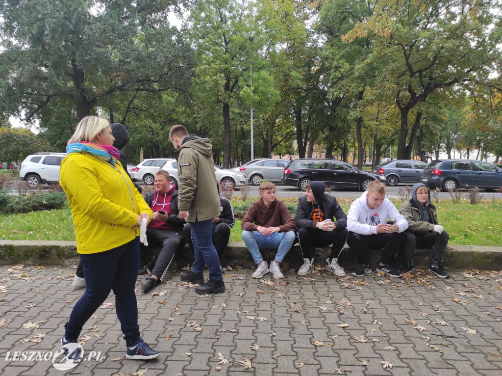 Kolejne żonkile na Polu Nadziei