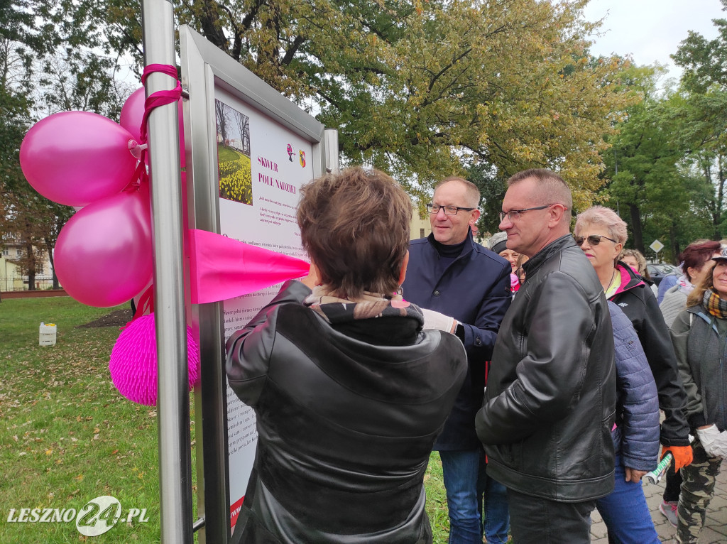 Kolejne żonkile na Polu Nadziei