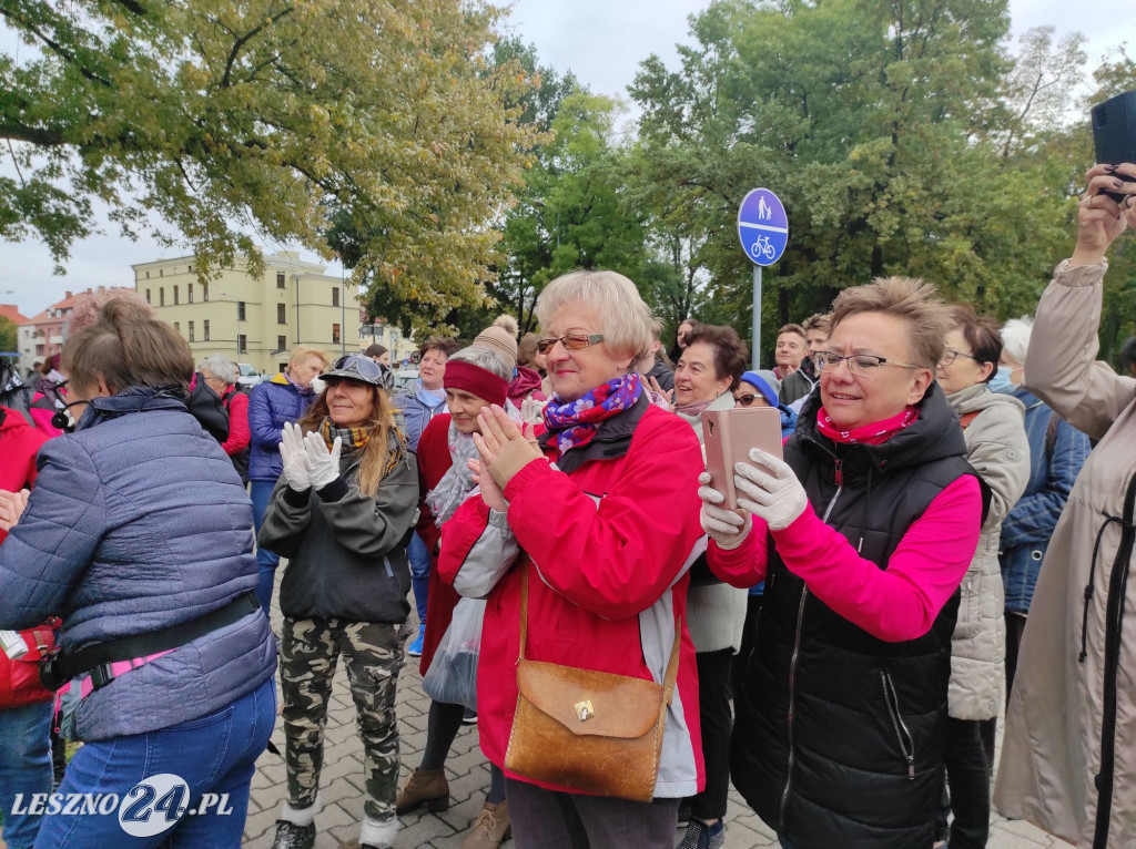 Kolejne żonkile na Polu Nadziei