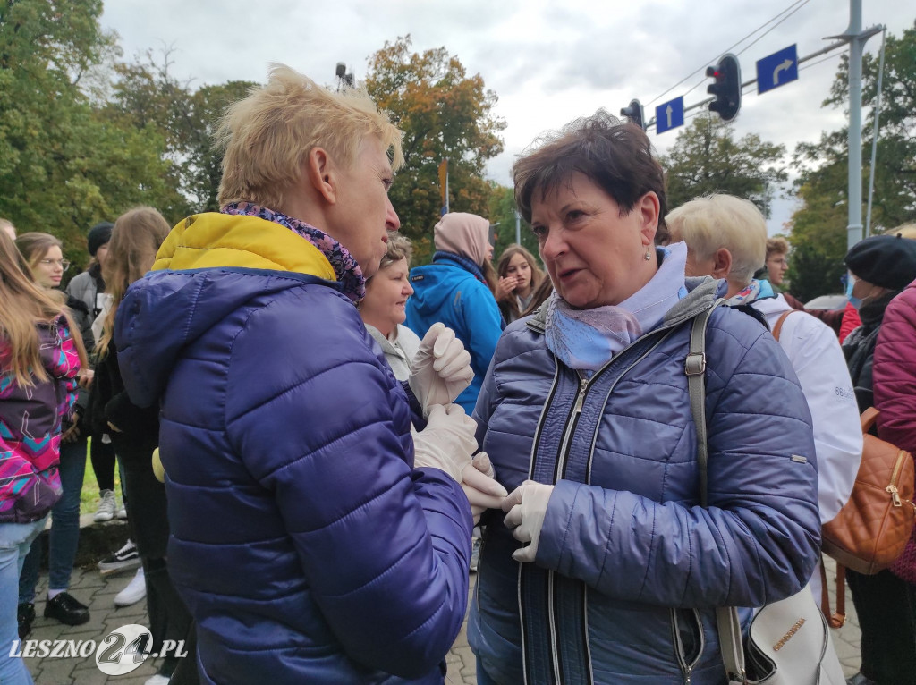 Kolejne żonkile na Polu Nadziei