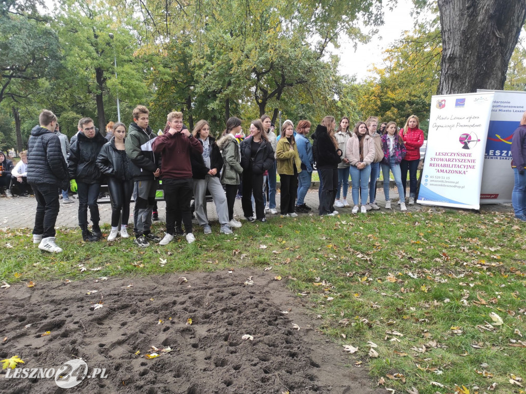 Kolejne żonkile na Polu Nadziei