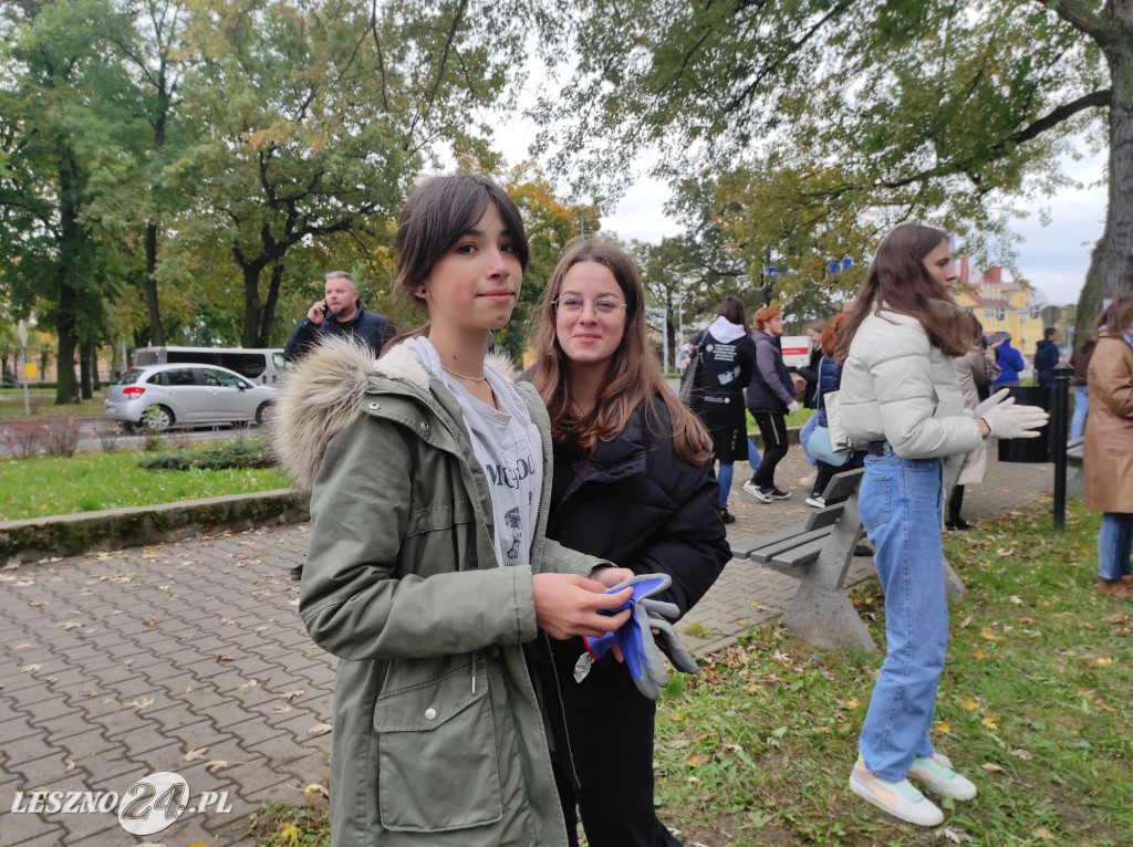 Kolejne żonkile na Polu Nadziei