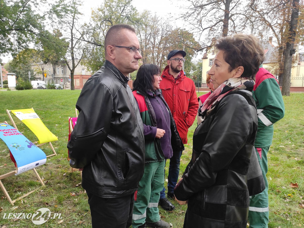 Kolejne żonkile na Polu Nadziei