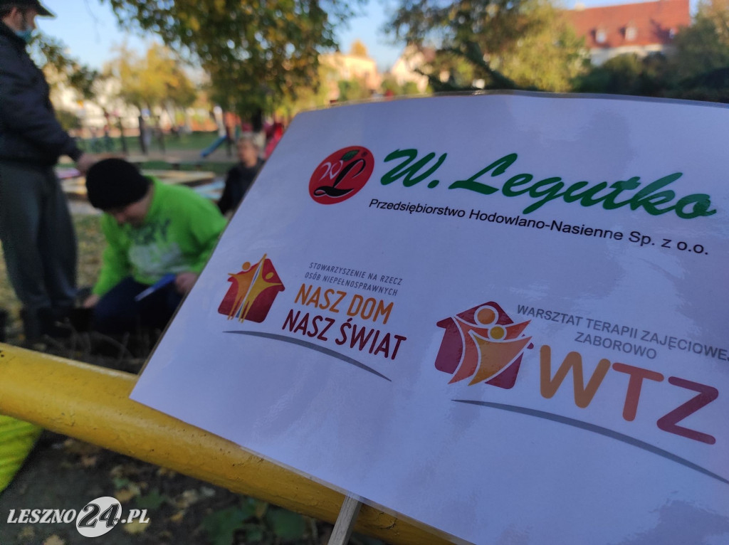 Sadzenie kwiatów w przedszkolu nr 20
