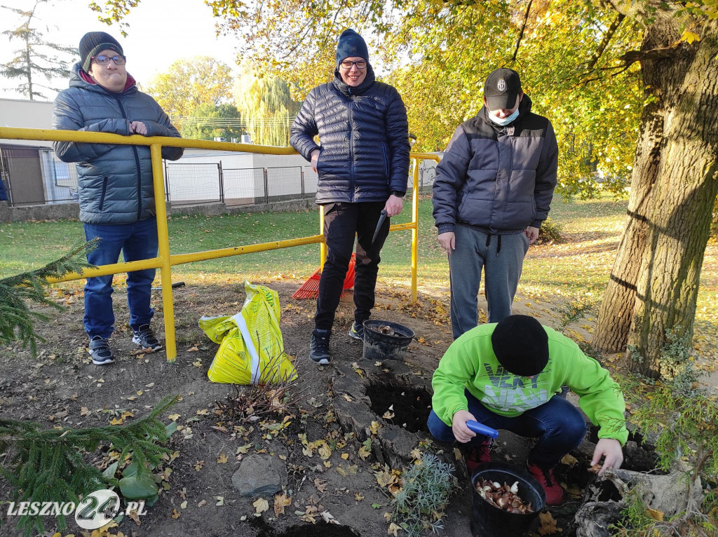 Sadzenie kwiatów w przedszkolu nr 20