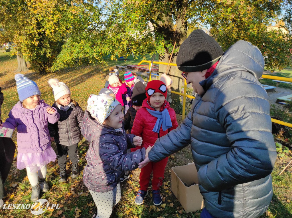 Sadzenie kwiatów w przedszkolu nr 20