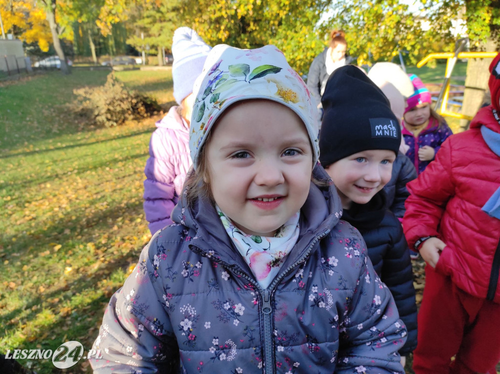 Sadzenie kwiatów w przedszkolu nr 20