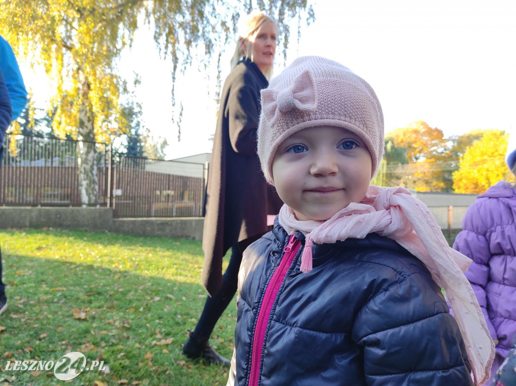 Sadzenie kwiatów w przedszkolu nr 20