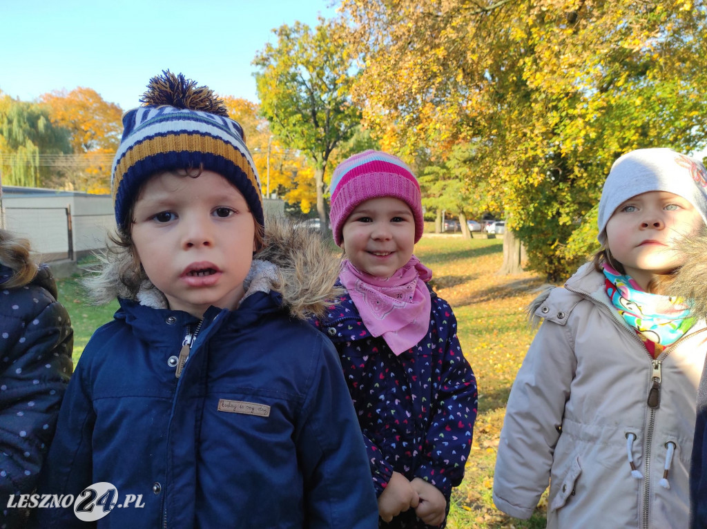 Sadzenie kwiatów w przedszkolu nr 20