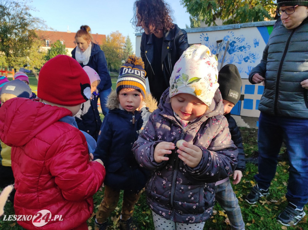 Sadzenie kwiatów w przedszkolu nr 20