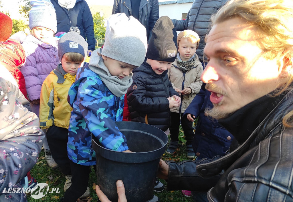 Sadzenie kwiatów w przedszkolu nr 20