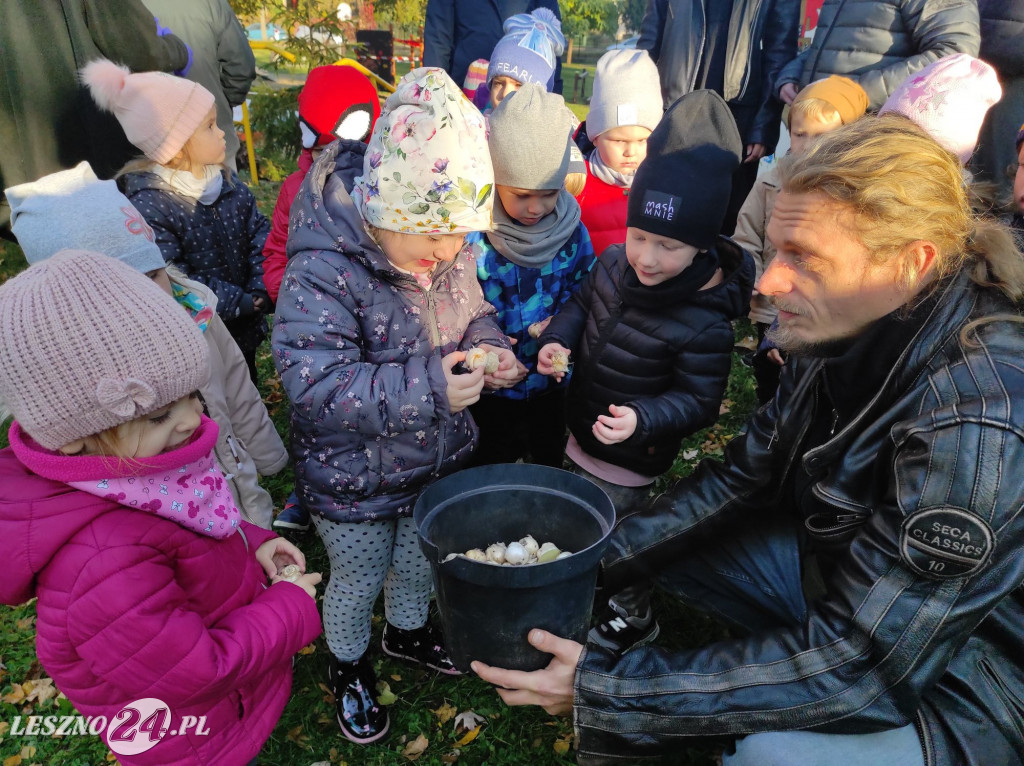 Sadzenie kwiatów w przedszkolu nr 20