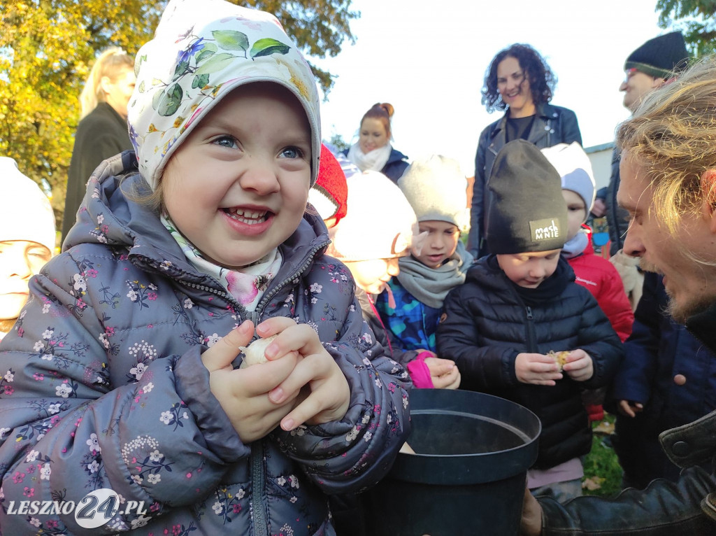 Sadzenie kwiatów w przedszkolu nr 20