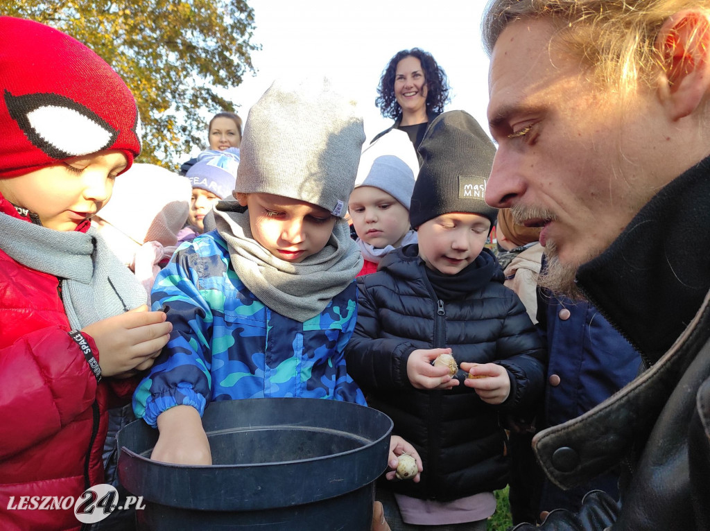 Sadzenie kwiatów w przedszkolu nr 20