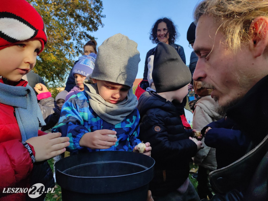 Sadzenie kwiatów w przedszkolu nr 20