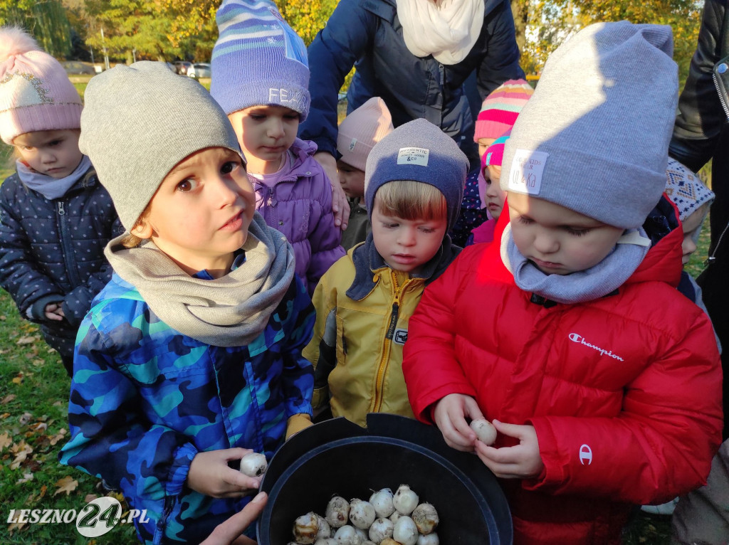 Sadzenie kwiatów w przedszkolu nr 20