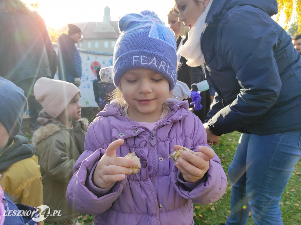 Sadzenie kwiatów w przedszkolu nr 20