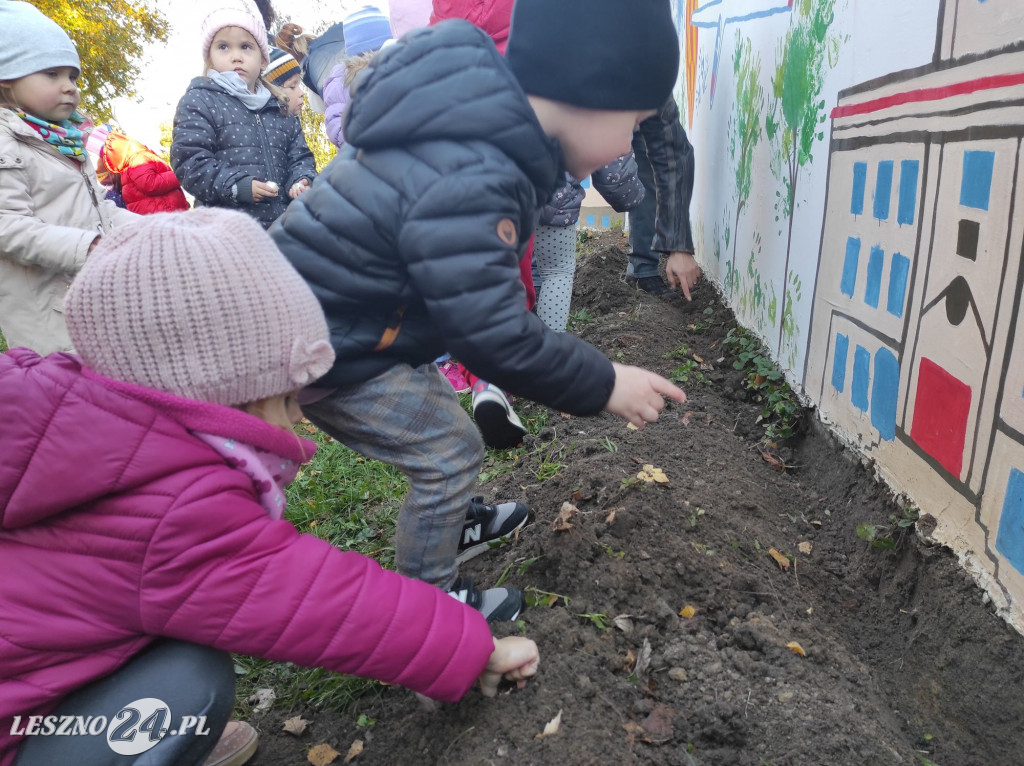 Sadzenie kwiatów w przedszkolu nr 20