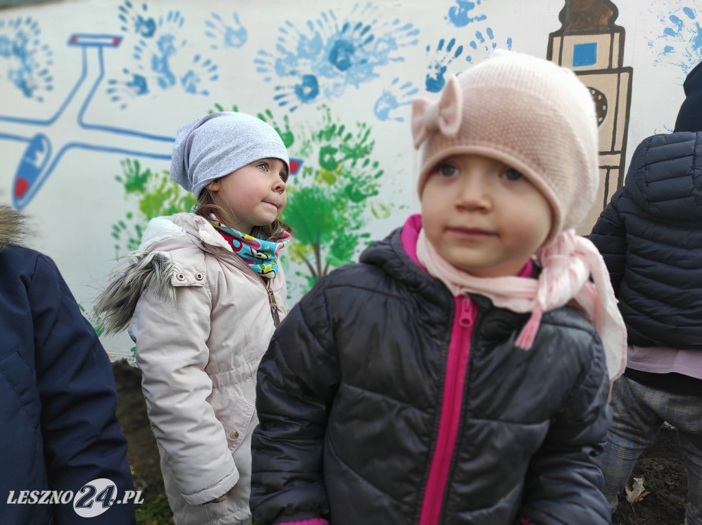 Sadzenie kwiatów w przedszkolu nr 20