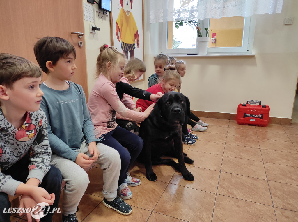 Spotkanie przedszkolaków z psami