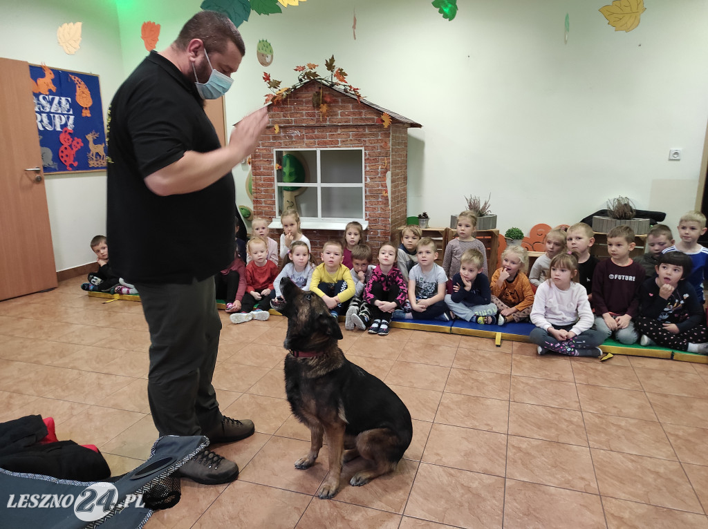 Spotkanie przedszkolaków z psami
