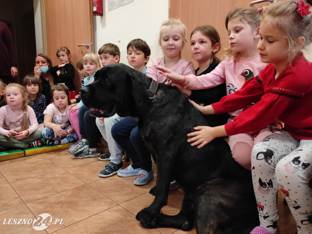 Spotkanie przedszkolaków z psami