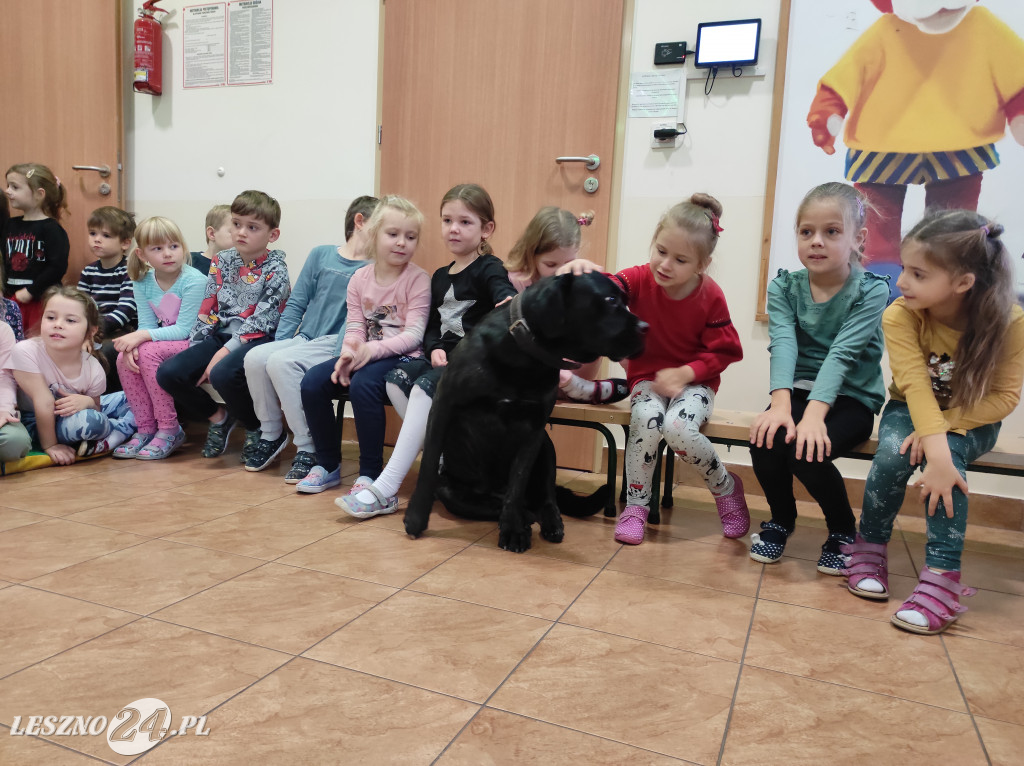 Spotkanie przedszkolaków z psami