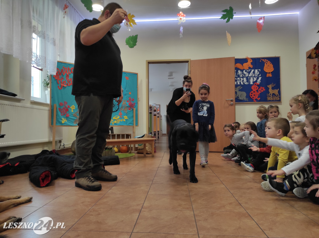 Spotkanie przedszkolaków z psami