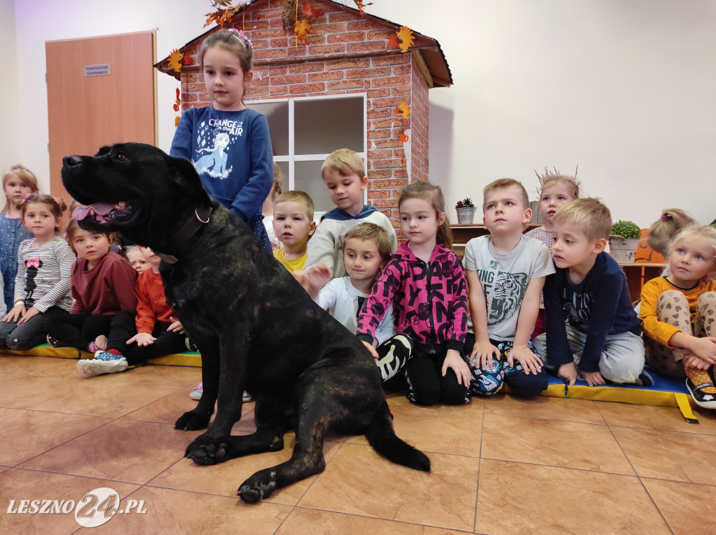 Spotkanie przedszkolaków z psami