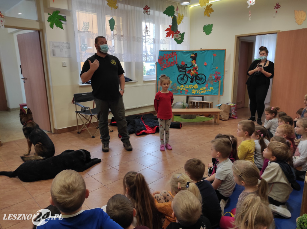Spotkanie przedszkolaków z psami