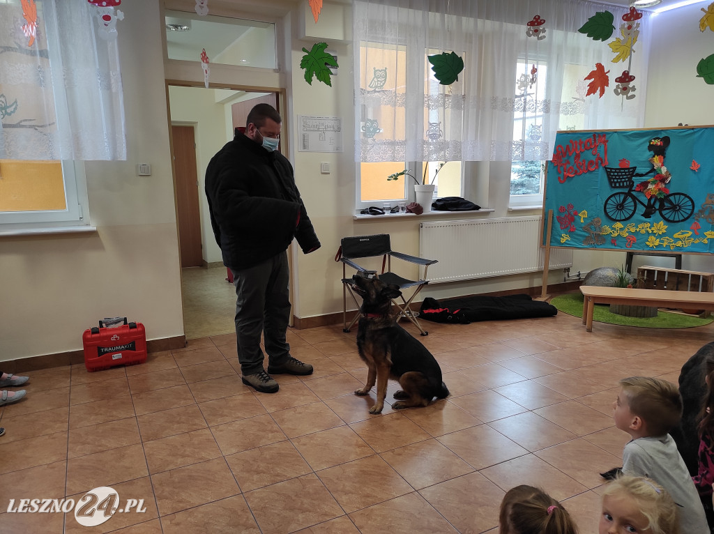 Spotkanie przedszkolaków z psami