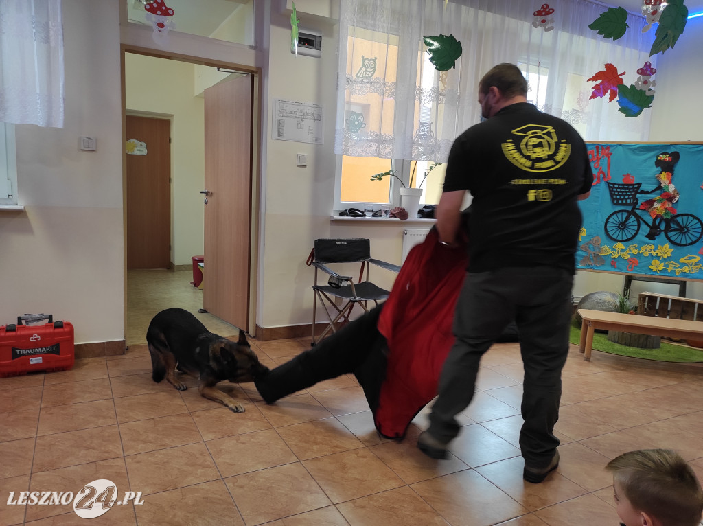 Spotkanie przedszkolaków z psami